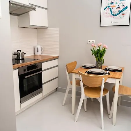 Asnyka Old Town * 克拉科夫